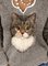 Langarm Pullover