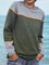 Grün Langarm Normal Pullover