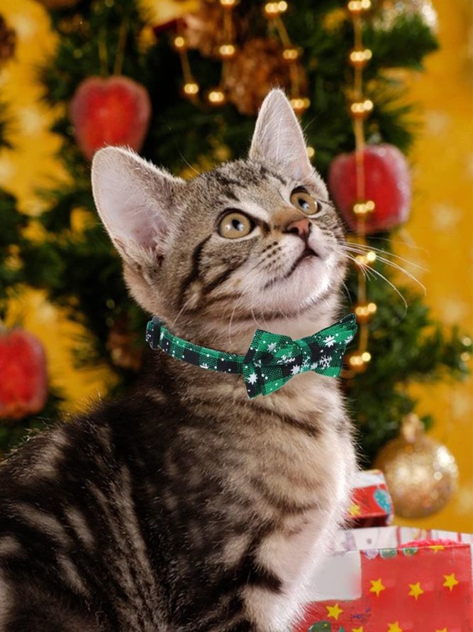 Weihnachten Kariert Schneeflocke Muster Haustier Schleife Ausschnitt Katze festlich Dekoration